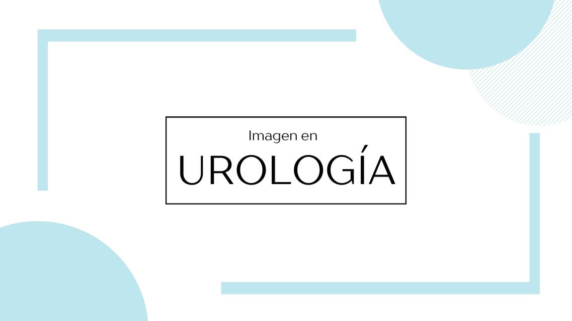 Imagen en urología