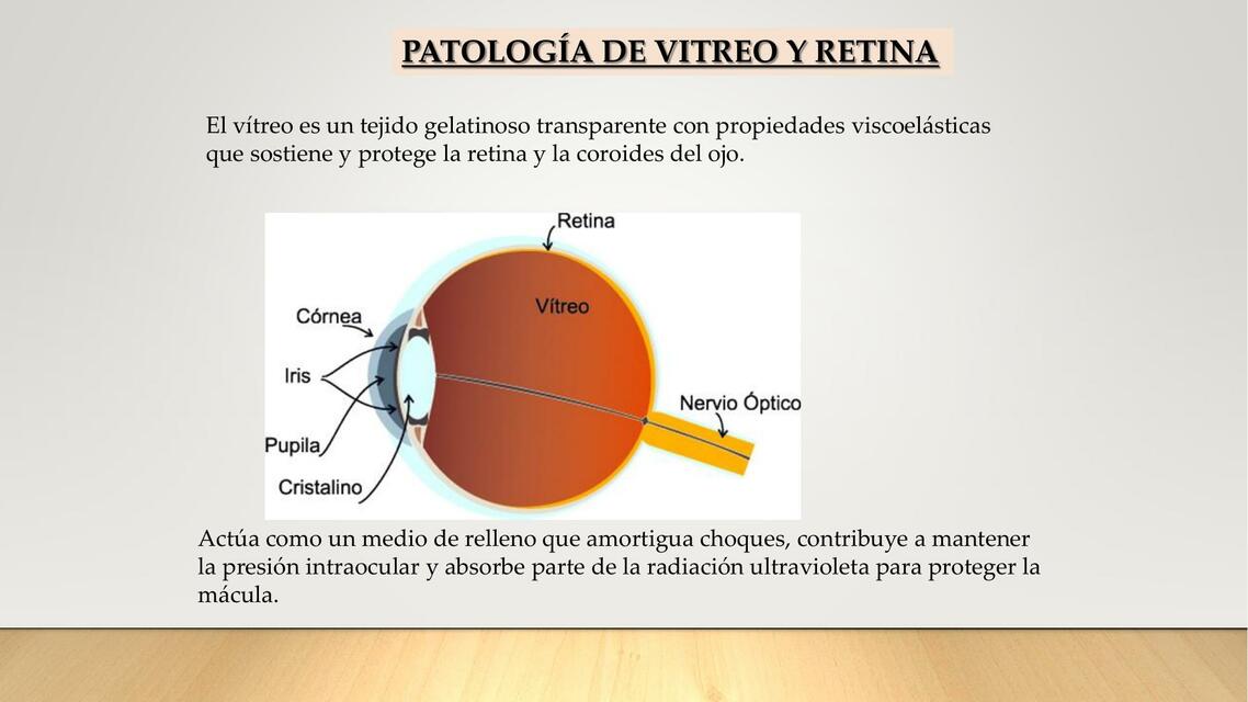 Patología del vitreo y retina 