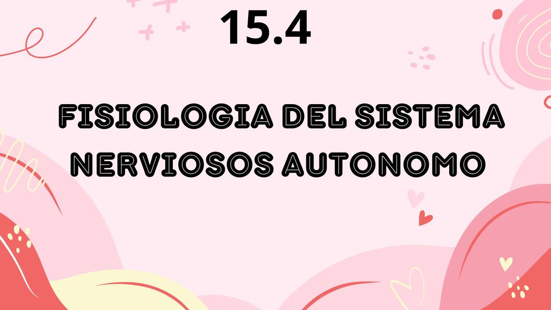 15 4 Fisiologia del sistema nervioso autonomo