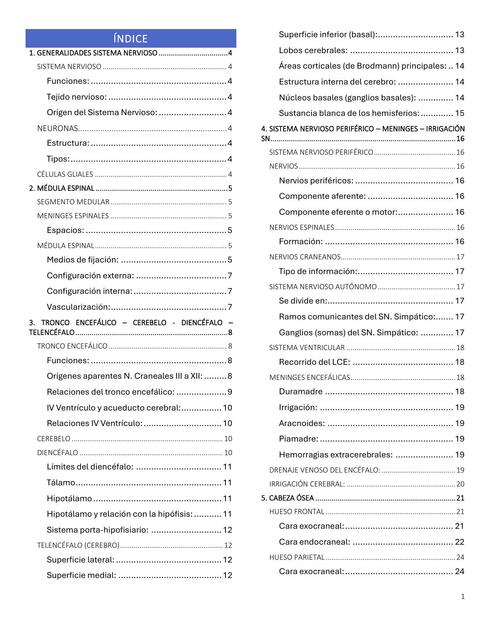 Anatomía 2 - Cabeza