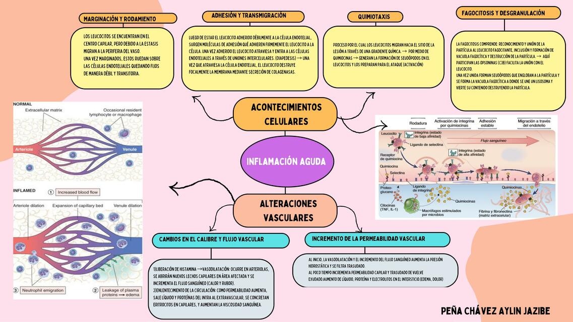 inflamacion aguda downloadable pdf