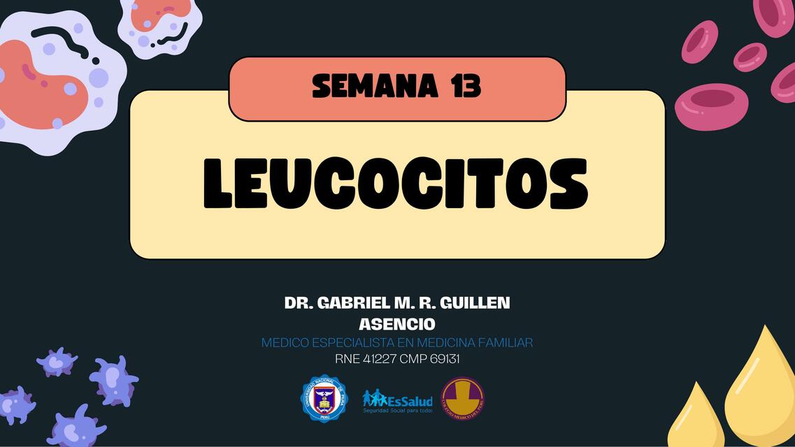 LEUCOCITOS 4