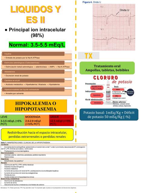 LIQUIDOS Y ELECTROLITOS II