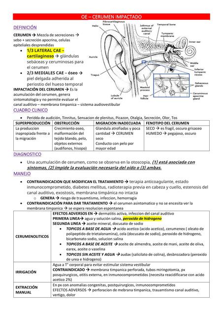 TEMA 2 PATOLOGIA DE OIDO EXTERNO