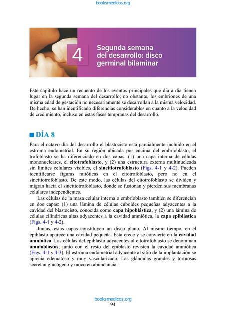 Langman Embriologia Medica 14e cap 4