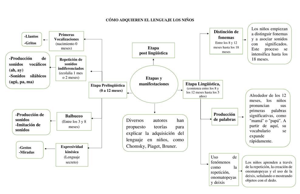 MAPA CONCEPTUAL COMO ADQUIEREN EL LENGUAJE LOS NIÑ