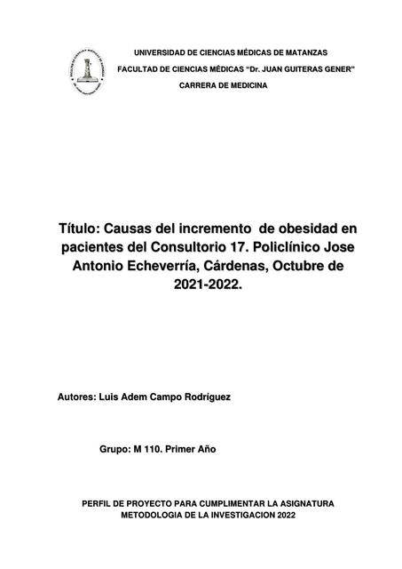 Causas del incremento de obesidad en pacientes del consultorio 17 