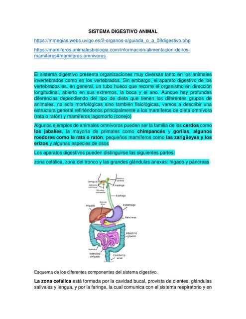 Sistema digestivo animal 