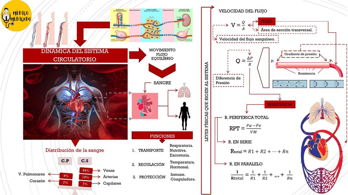 Física del sistema circulatorio