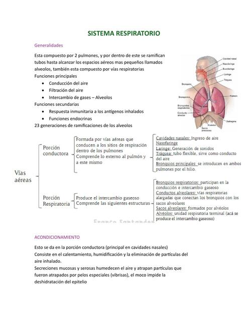 SISTEMA RESPIRATORIO HISTOLOGIA ROSS