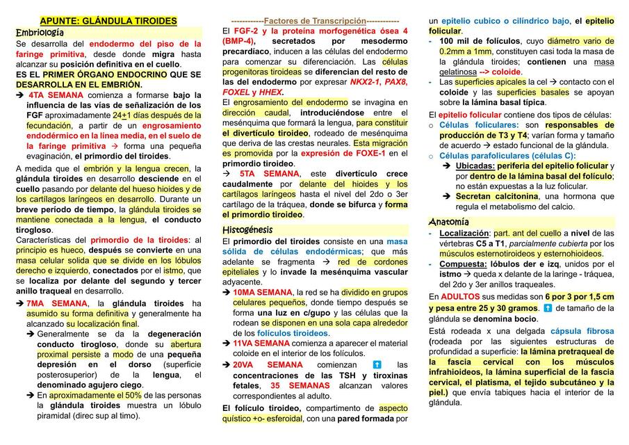 APUNTE TIROIDES Y ADRENAL