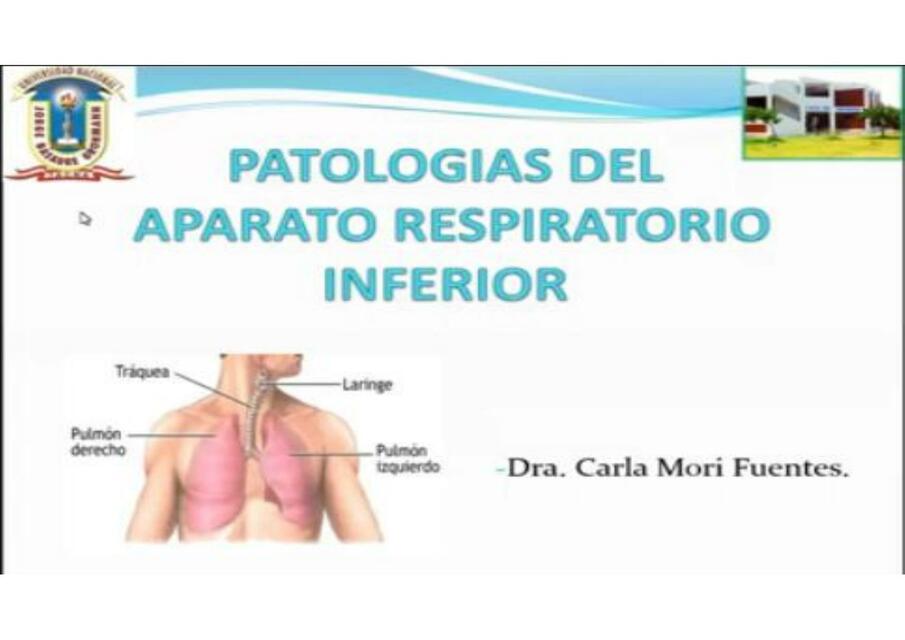 patologia vias aereas inferiores