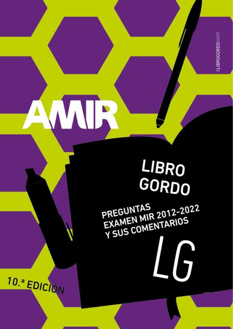 Libro Gordo AMIR