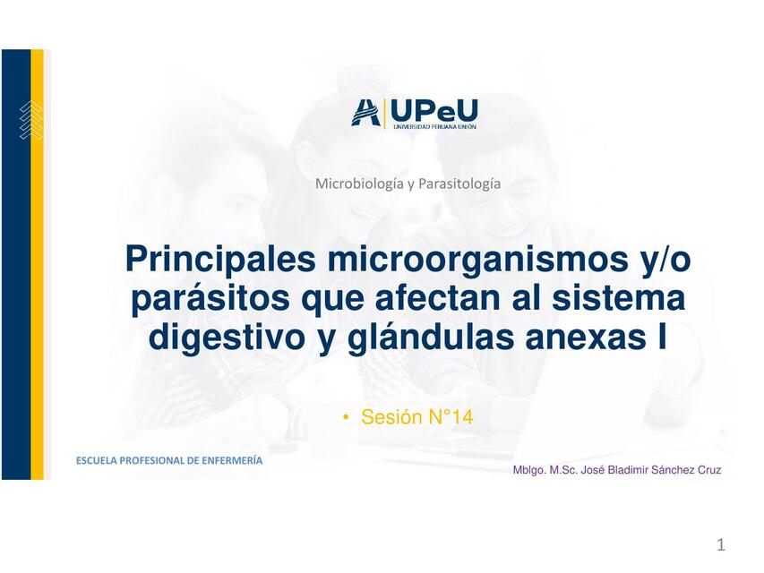 Principales microorganismos y/o parásitos que afectan al sistema digestivo y glándulas anexas i 