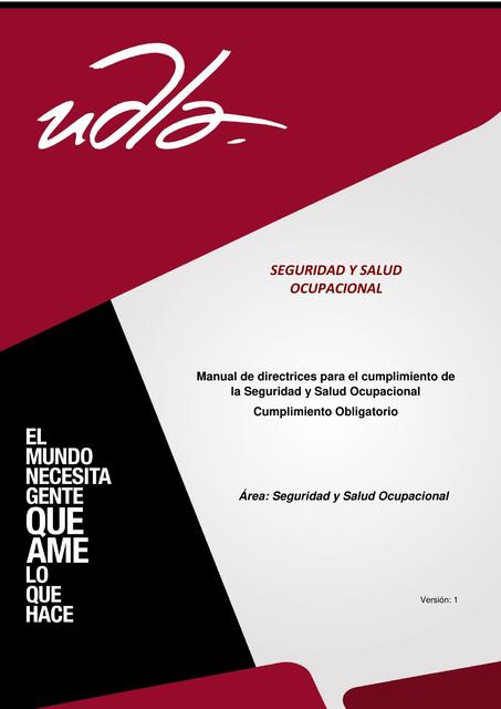 Manual de Seguridad y Salud Ocupacional