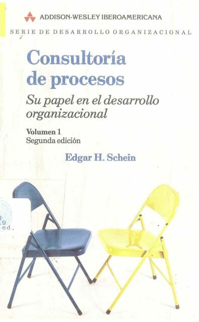 Consultoria de procesos