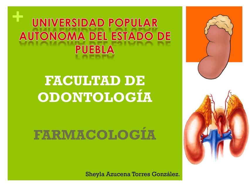 GLANDULAS SUPRARRENALES FARMACOLOGIA