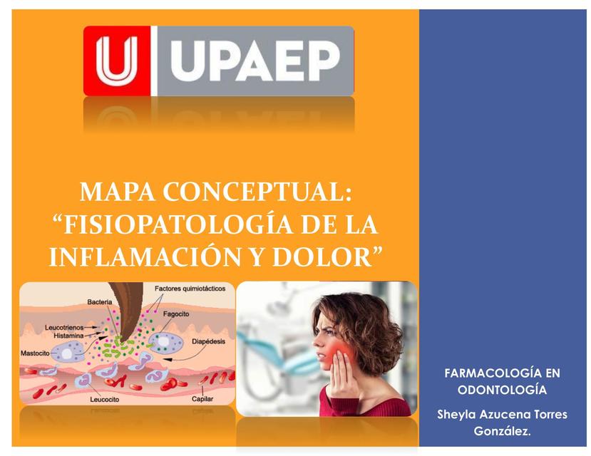 MAPA CONCEPTUAL DOLOR