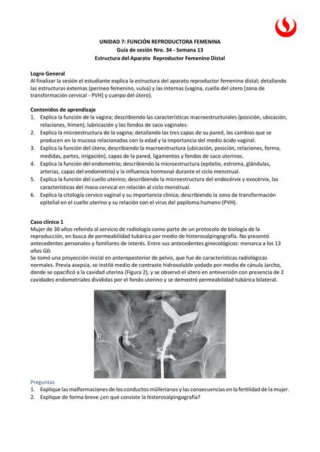 Guía 34 Semana 13