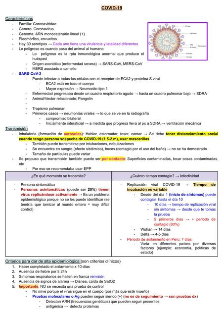 S14 COVID 19