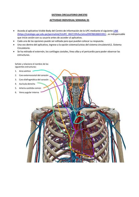 Tarea S1 M301 Carlos Quispe