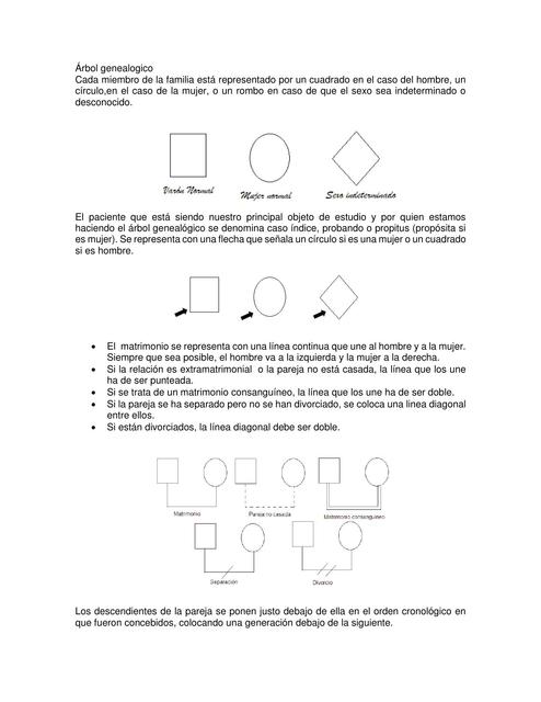 arbol genealogico