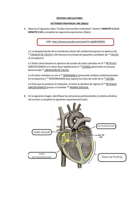 ACTIVIDAD INDIVIDUAL S06 1