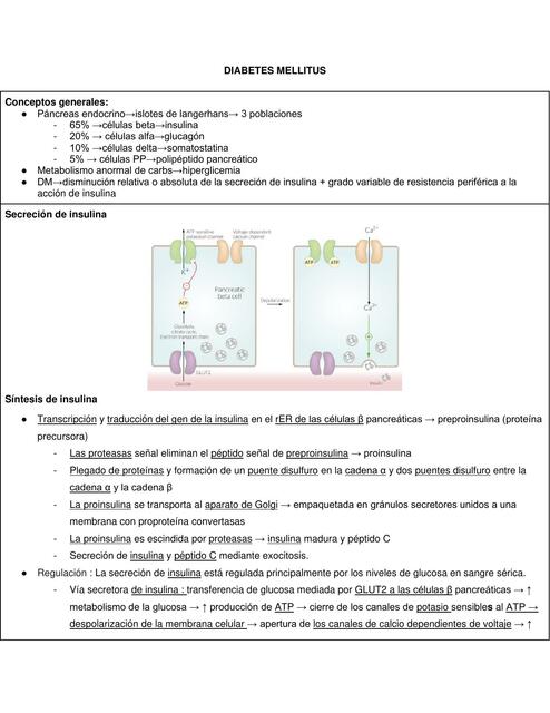 SEMANA 11