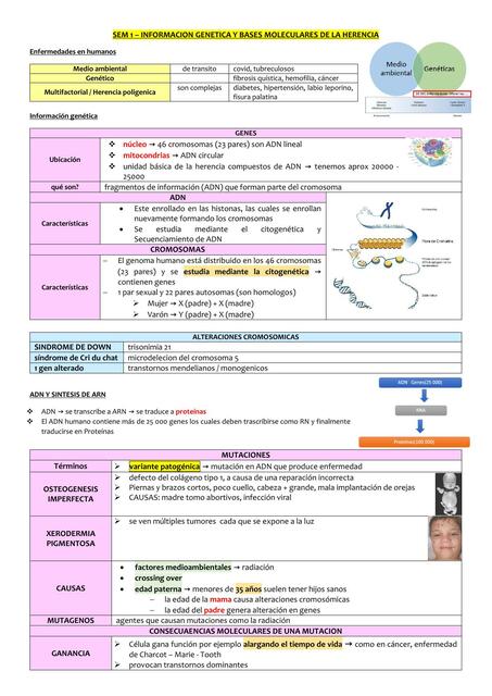 pre parcial genetica 1 2