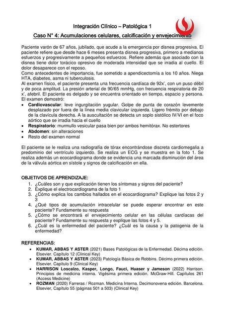 Caso 4 Acumulaciones celulares calcificación y env