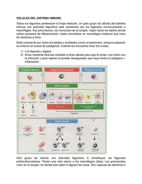 CELULAS DEL SISTEMA INMUNE