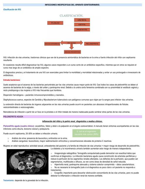 INFECCIONES INESPECIFICAS DEL APARATO GENITOURINAR