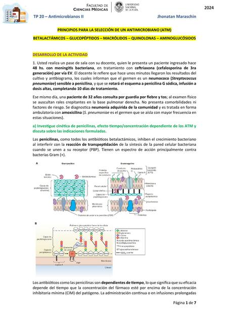 TP 20 Antimicrobianos II