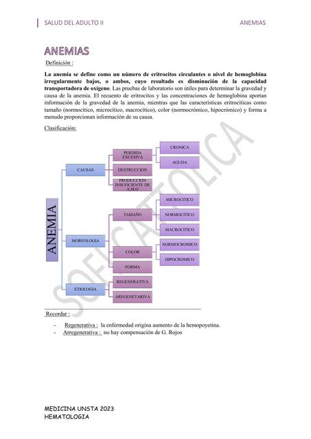 Hemato unificado