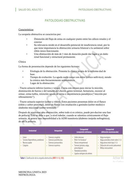 6 PATOLOGIAS OBSTRUCTIVAS