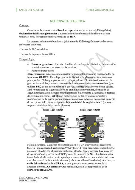 12 NEFROPATIA DIABETICA