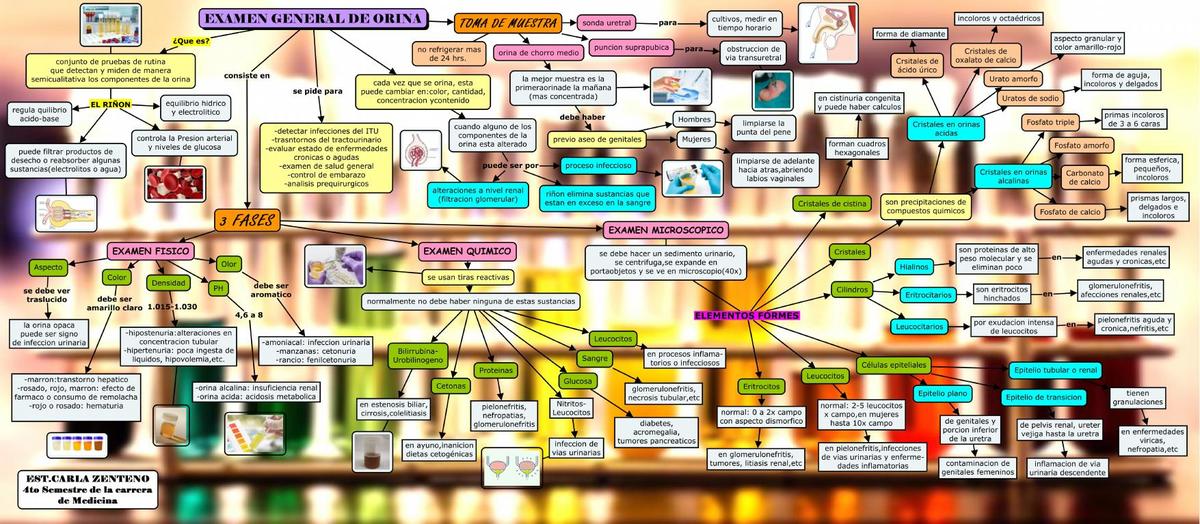 EXAMEN GENERAL DE ORINA-BIOQUIMICA