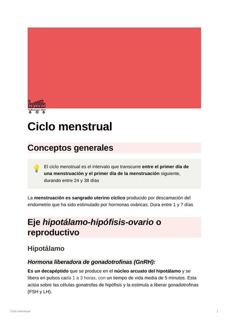 Ciclo menstrual