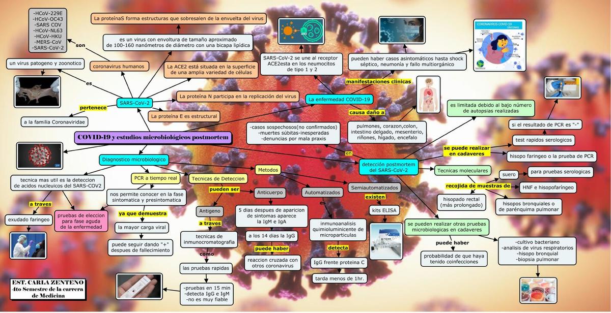 COVID 19 y ESTUDIOS MICROBIOLOGICOS POST-MORTEM