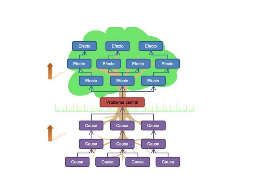 Esquema de ARBOL DE PROBLEMAS