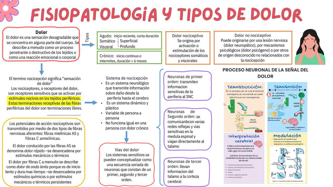 OPIOIDES Y AINES