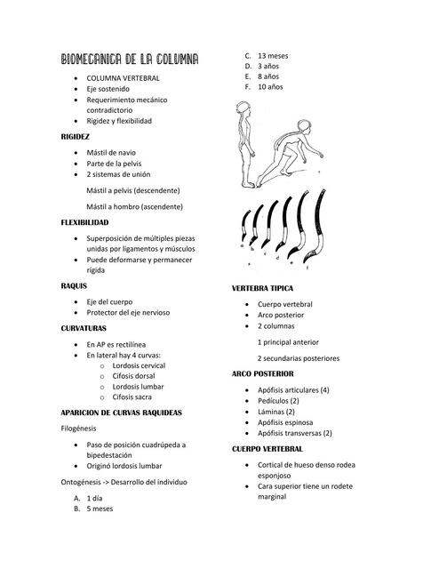 BIOMECANICA DE LA COLUMNA 1