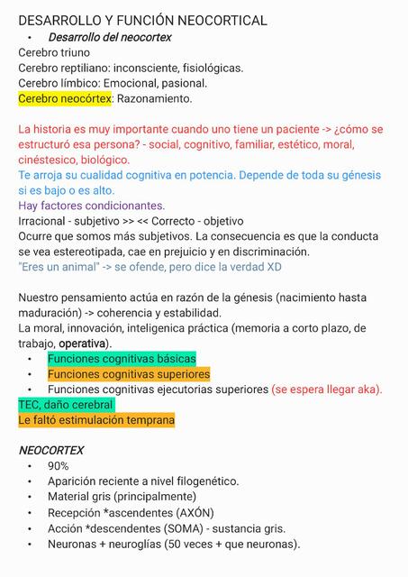 Desarrollo y función neocortical