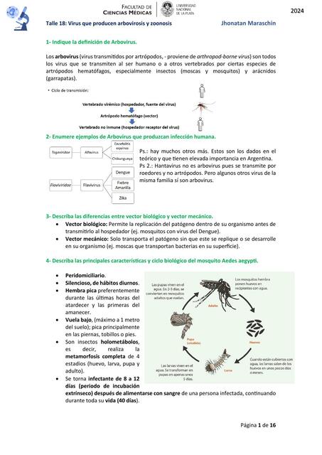 Taller 18 Virus que producen arbovirosis y zoonosis