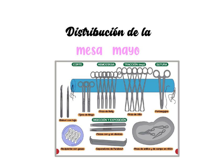 Distribución de la mesa mayo riñon tiempos quirurg