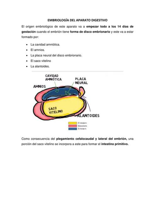 EMBRIOLOGIA DE DIGESTIVO