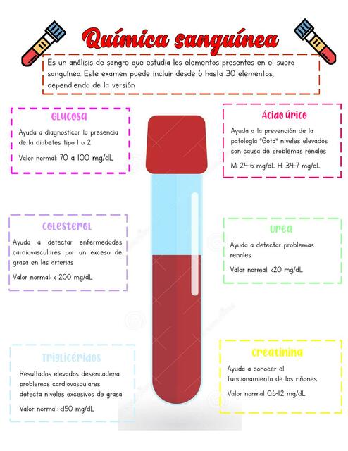 quimica sanguinea infografia 6 elementos