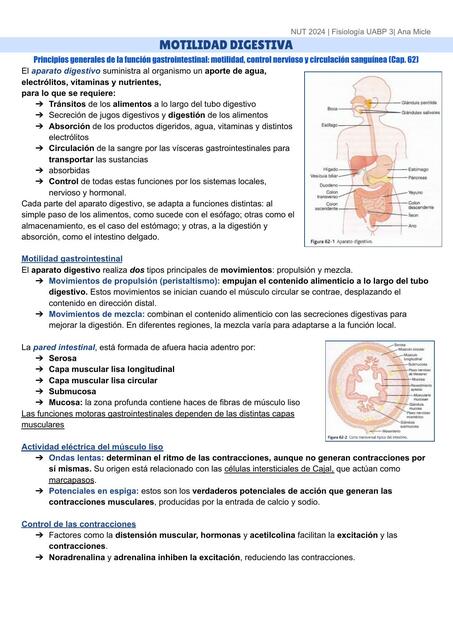 MOTILIDAD DIGESTIVA - Fisiología