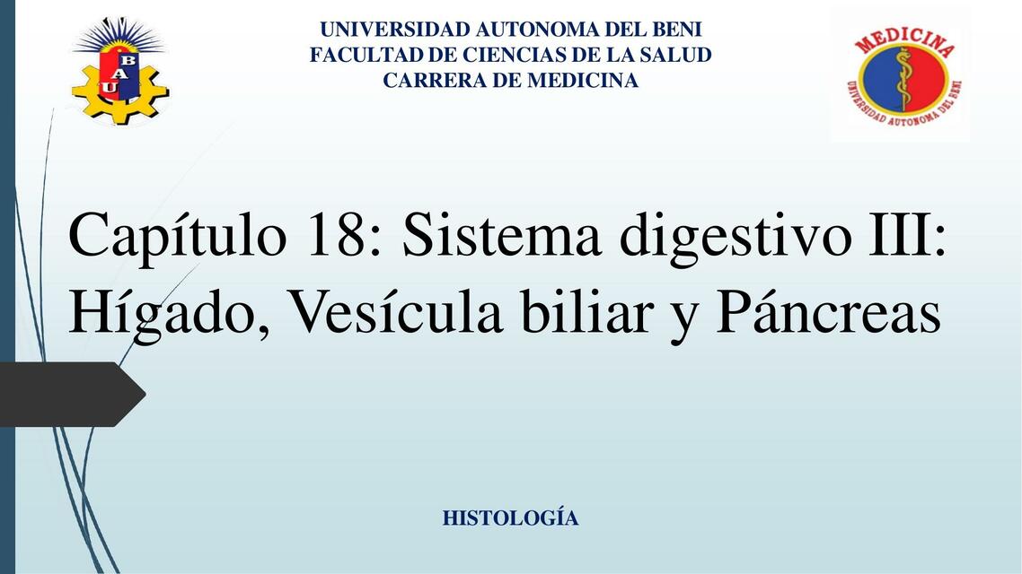 DIAPOSITIVA HIGADO VISICULA BILIAR Y PANCREAS