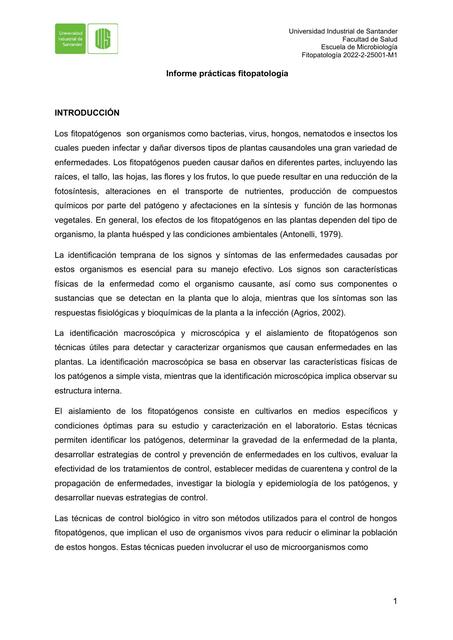 Informe Prácticas Fitopatología